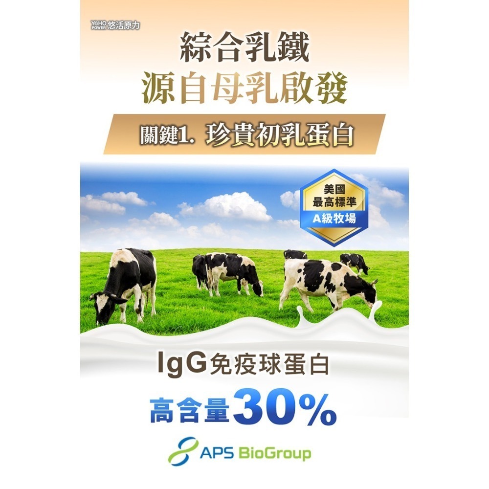 【竹楓藥局】限量1贈(3包)!! 悠活原力 YOHO敏立清乳鐵蛋白益生菌（60條）-細節圖9