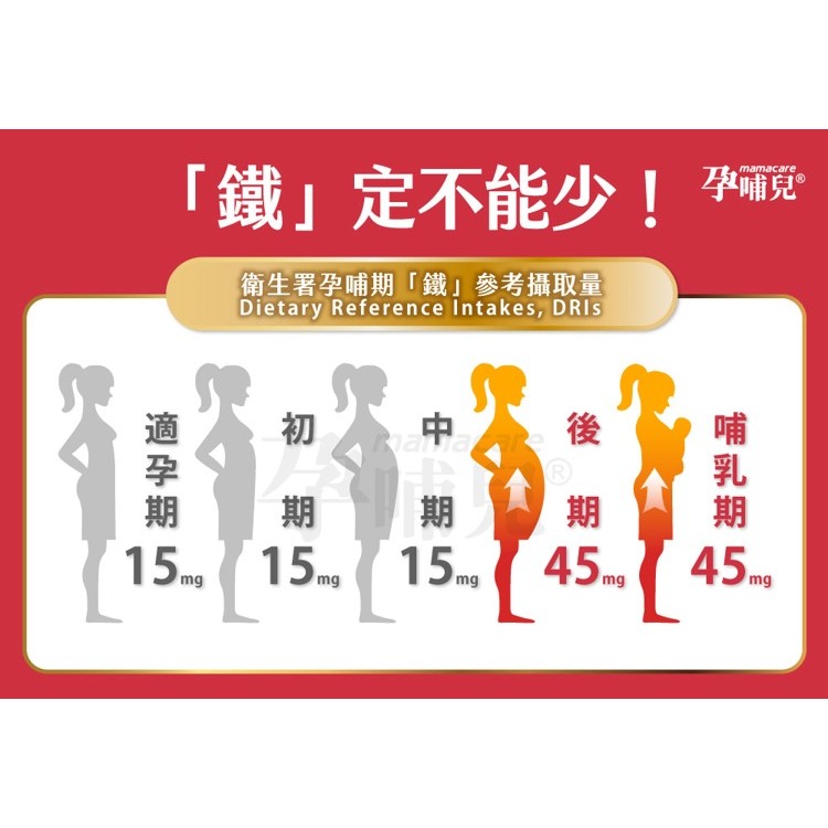 【竹楓藥局】領券折扣!!! 孕哺兒 高單位凍晶血紅素鐵+葉酸膠囊 60粒 (另有150粒)-細節圖5