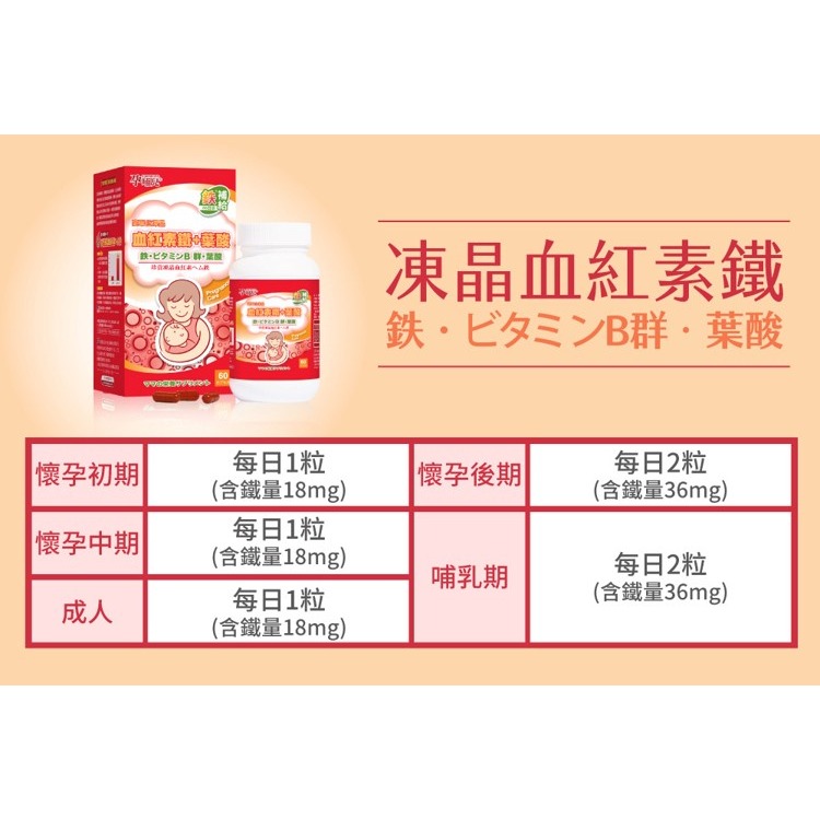 【竹楓藥局】領券折扣!!! 孕哺兒 高單位凍晶血紅素鐵+葉酸膠囊 60粒 (另有150粒)-細節圖10