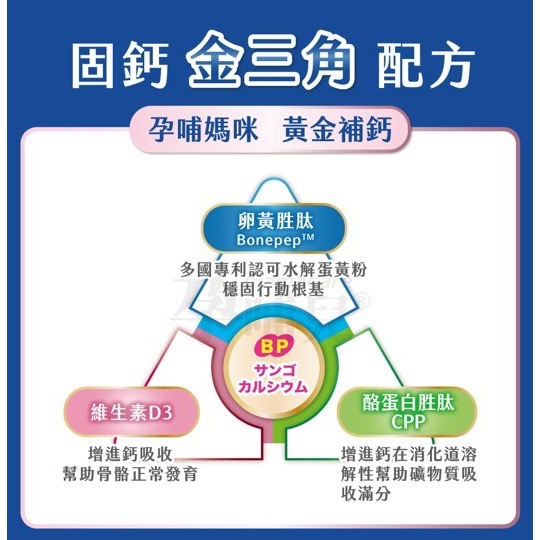 【竹楓藥局】領券折扣!!孕哺兒 新一代BP天然珊瑚鈣+D3膠囊 120粒( 另有300粒)-細節圖7