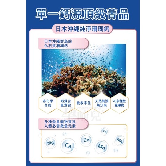 【竹楓藥局】領券折扣!!孕哺兒 新一代BP天然珊瑚鈣+D3膠囊 300粒( 另有120粒)-細節圖6