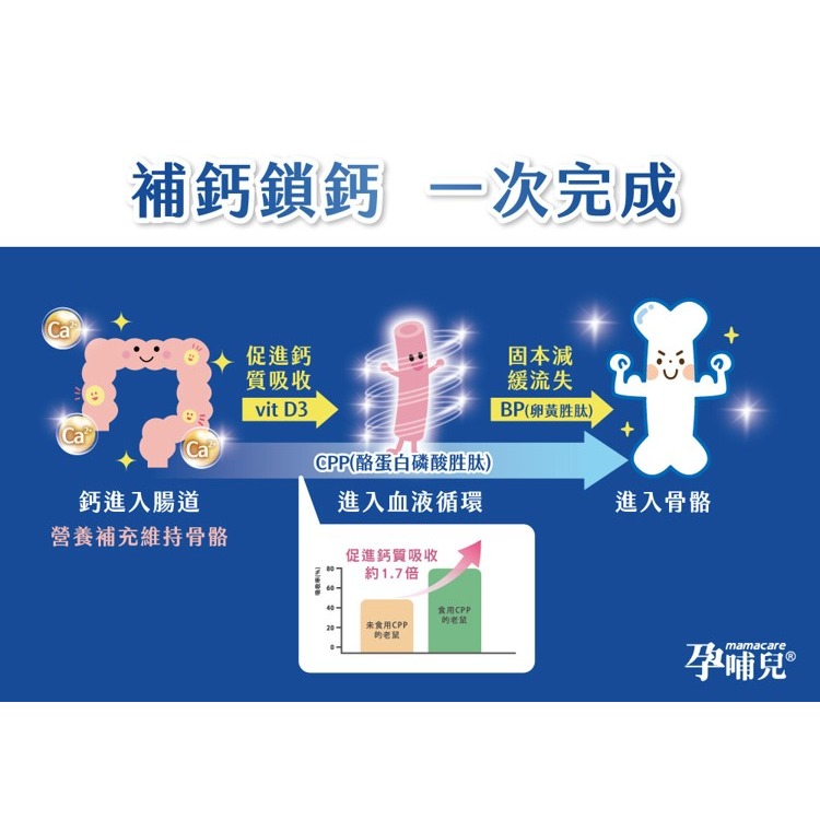 【竹楓藥局】領券折扣!!孕哺兒 新一代BP天然珊瑚鈣+D3膠囊 300粒( 另有120粒)-細節圖9