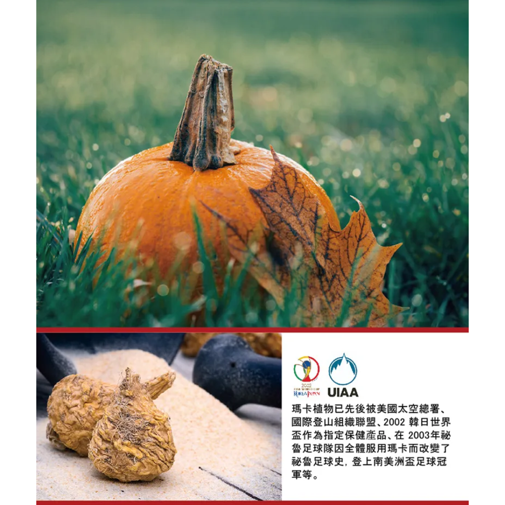 【竹楓藥局】日本進口 攝健勇 男性補品 南瓜籽 瑪卡 L精胺酸 鹿角 60粒/盒-細節圖4