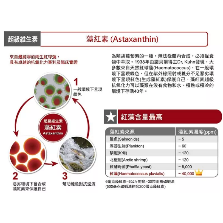 【竹楓藥局】近效出清2024/12 永信 婕凡希 活力藻紅素 蝦紅素 亞麻仁油 維生素E 60粒入-細節圖2