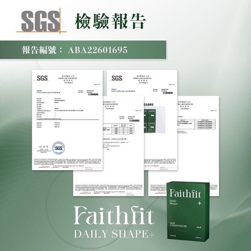 Faithfit daily shape+ 曲線小管家 升級版 小綠 靜岡元茶-細節圖3