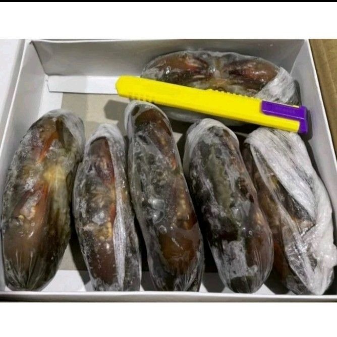 【極海鮮八號鋪】生凍軟殼蟹-約6~8隻/700g/盒-細節圖3