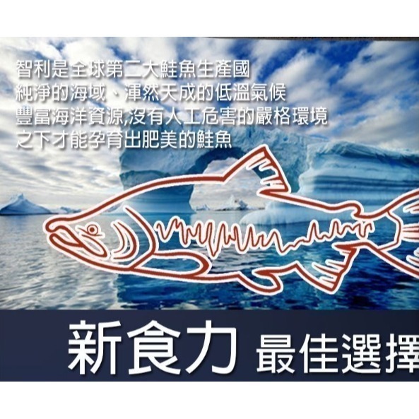 【極海鮮八號鋪】智利厚切鮭魚片-大片裝，350g-400g/片，肉質細嫩，具備豊富的魚油，富含多種營養素-細節圖8