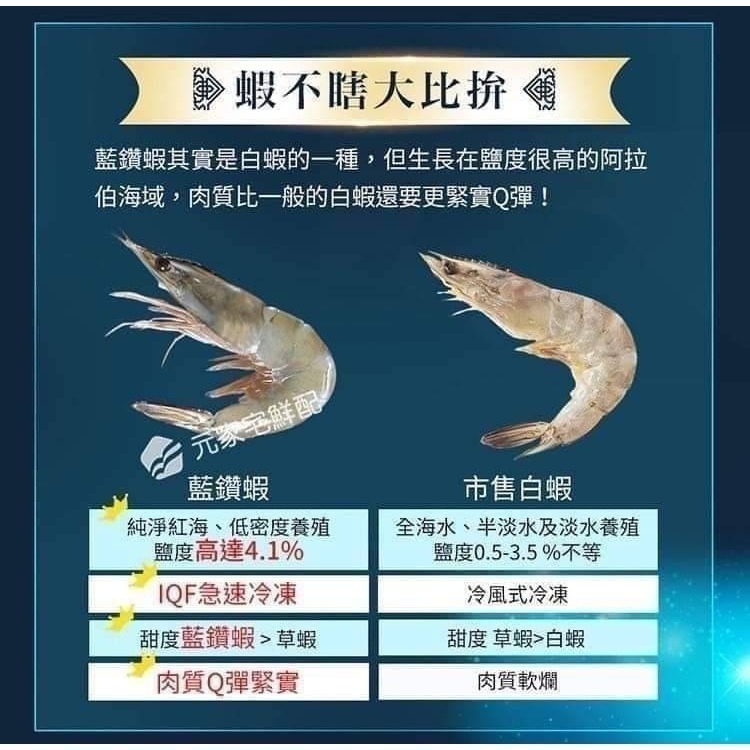 【極海鮮八號鋪】阿拉伯頂藍鑽蝦規格40/50，1000G/盒  -液態氮的特殊專業冷凍技術，保存了蝦的完整鮮度及營養成份-細節圖7