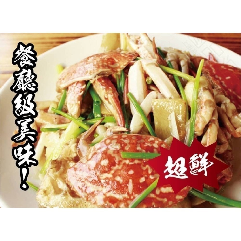 【極海鮮八號鋪】斯里蘭卡母花蟹~五星頂級食材~花蟹2隻組_超高CP值-細節圖3