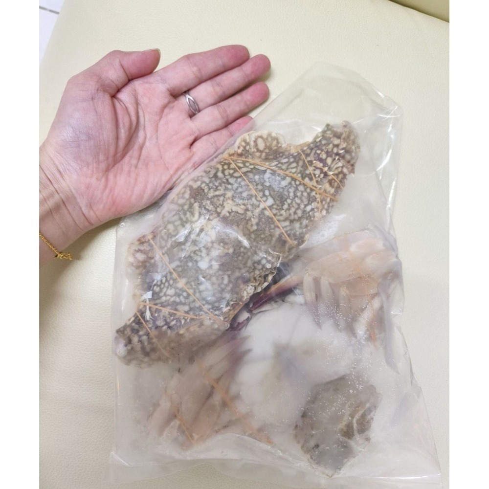 【極海鮮八號鋪】斯里蘭卡母花蟹~五星頂級食材~花蟹2隻組_超高CP值-細節圖4