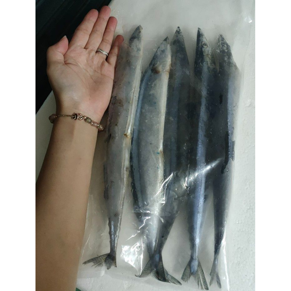 鮮凍肥美秋刀魚2號規格-3入裝，每隻100g±10%，鮮美甘甜，飽滿肉質，細緻肥嫩，香煎、鹽烤香味撲鼻-細節圖4