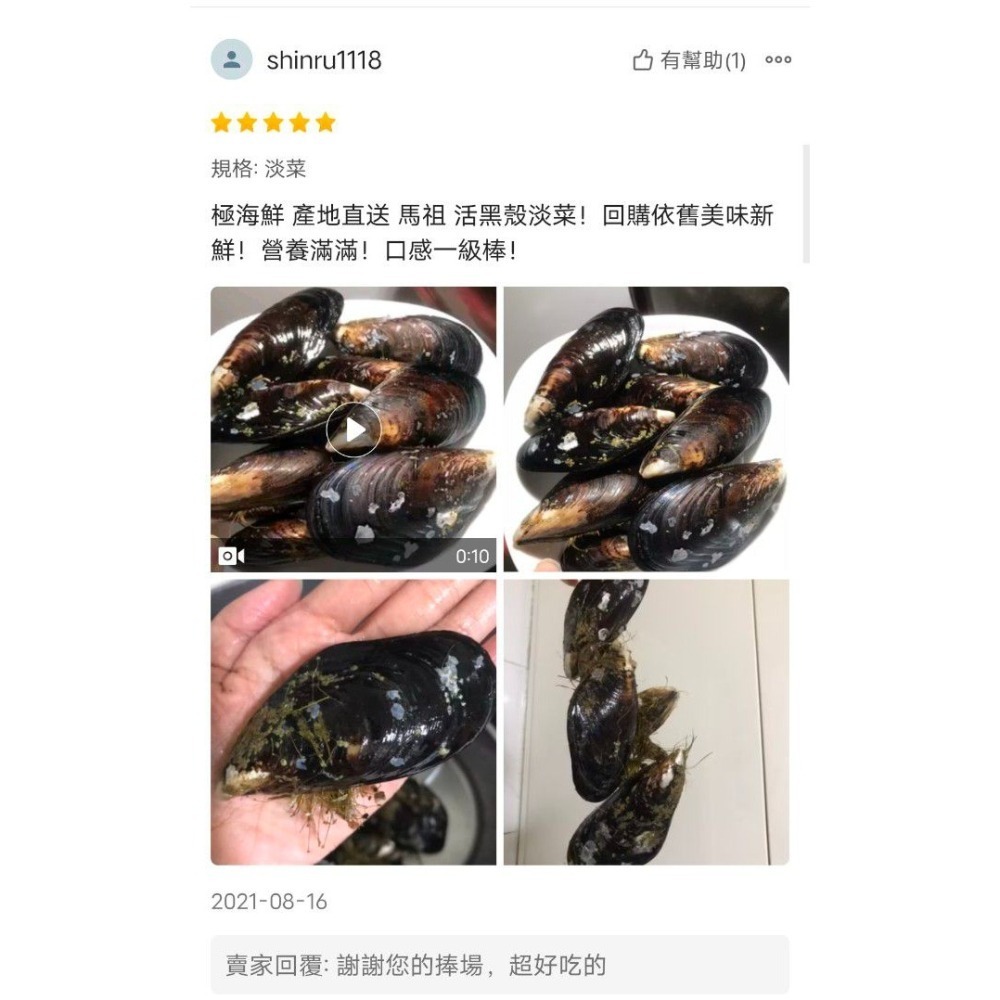 【極海鮮八號鋪】活體 馬祖淡菜 1公斤 🦪吃過真的會上癮 🦪活替比冷凍好吃太多太多🦪難以言喻的鮮美瞬間炸開口腔-細節圖10