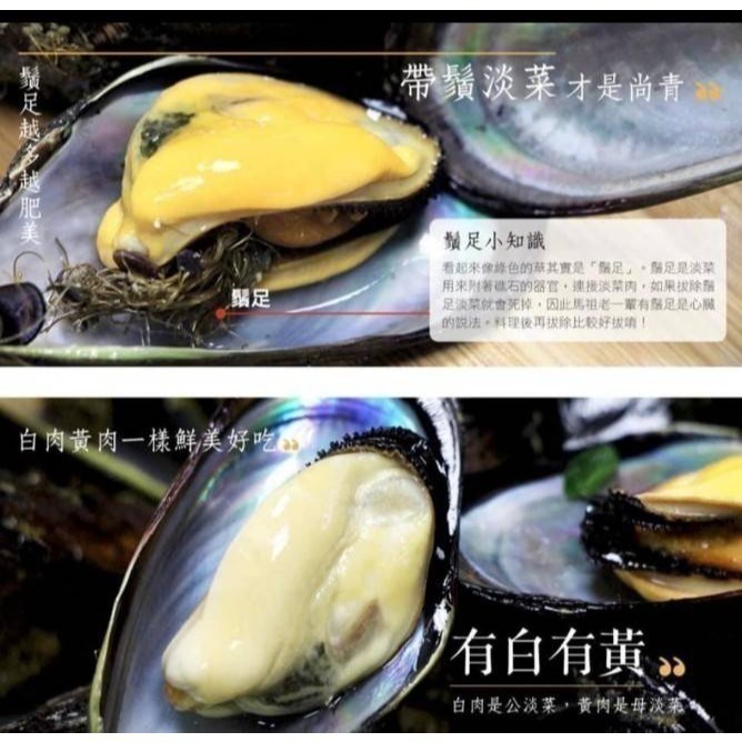 【極海鮮八號鋪】活體 馬祖淡菜 1公斤 🦪吃過真的會上癮 🦪活替比冷凍好吃太多太多🦪難以言喻的鮮美瞬間炸開口腔-細節圖2