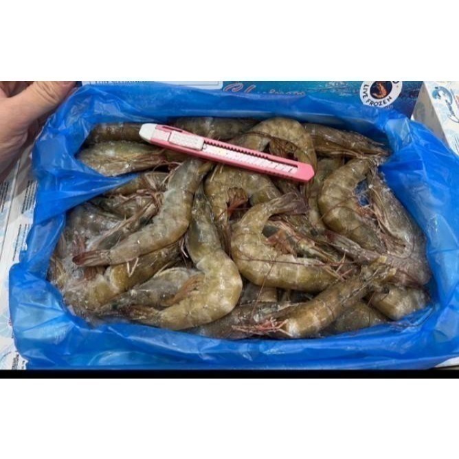 【極海鮮八號鋪】中南美洲鮮甜白蝦 850g/盒 ，有2號，3號跟4號規格-細節圖4