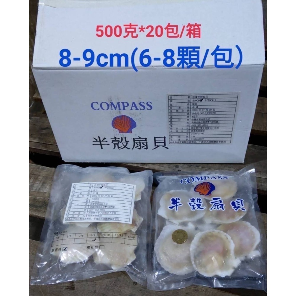 【極海鮮八號鋪】超巨大半殼扇貝，500g/包，滿滿的奶味和海味，蒸出來的湯汁就很甜，露營烤肉-細節圖7