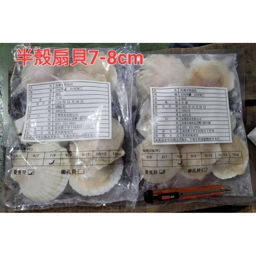 【極海鮮八號鋪】超巨大半殼扇貝7/8，500g/包，滿滿的奶味和海味，蒸出來的湯汁就很甜，露營烤肉-細節圖8