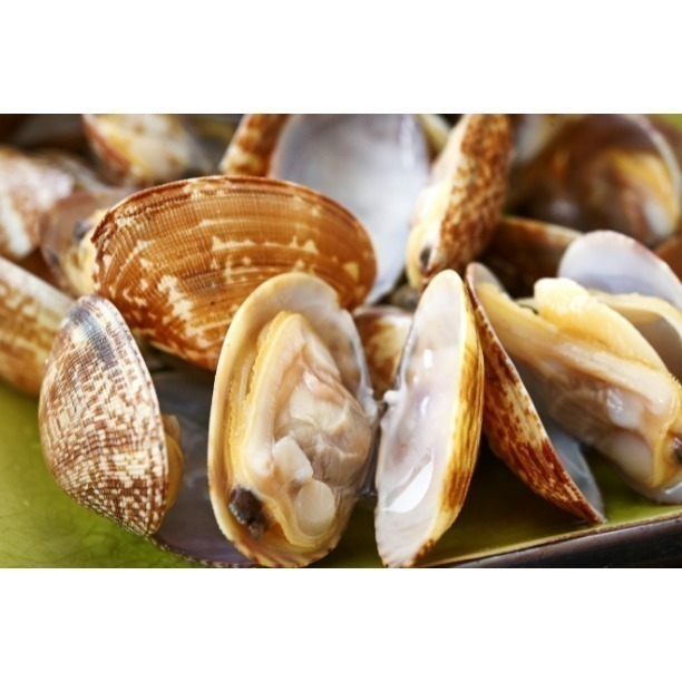 【極海鮮八號鋪】熟凍海瓜子500g/包，來自大海的鮮甜滋味，肉質飽滿有彈性-細節圖3