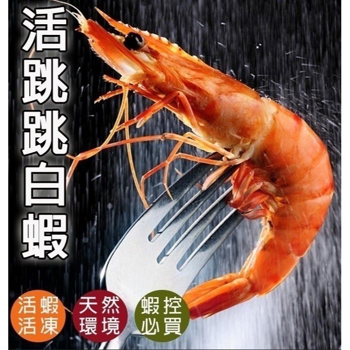 【極海鮮八號鋪】CP值最高的中南美生白蝦，超大份量業務包1.05KG+-5% 蝦控一次滿足-細節圖2