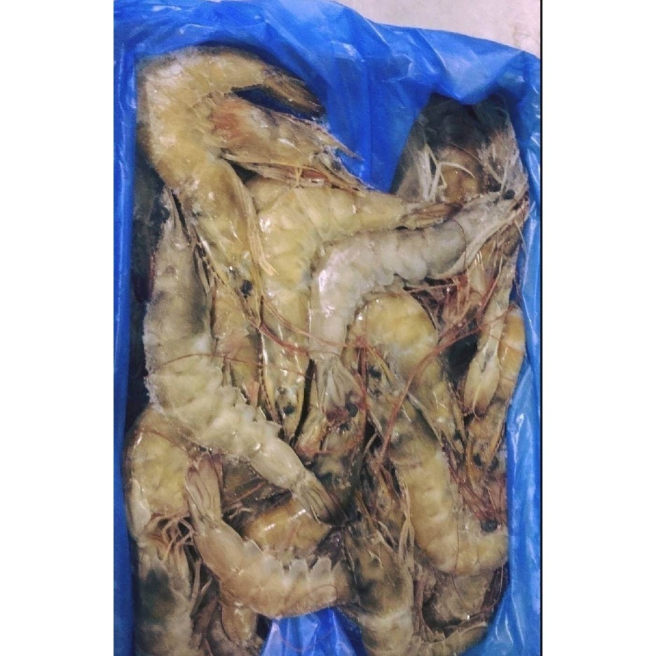 【極海鮮八號鋪】CP值最高的中南美生白蝦，超大份量業務包1.05KG+-5% 蝦控一次滿足-細節圖4