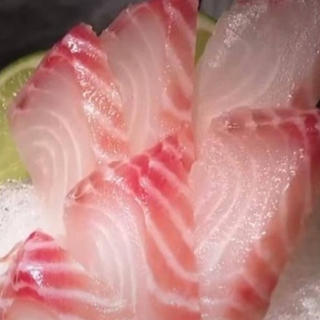 【極海鮮八號鋪】頂級台灣一片鯛魚 150-200G/包，無刺低脂肪高蛋白，肉質細緻鮮嫩-細節圖2