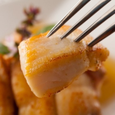 【極海鮮八號鋪】頂級台灣一片鯛魚 150-200G/包，無刺低脂肪高蛋白，肉質細緻鮮嫩-細節圖7