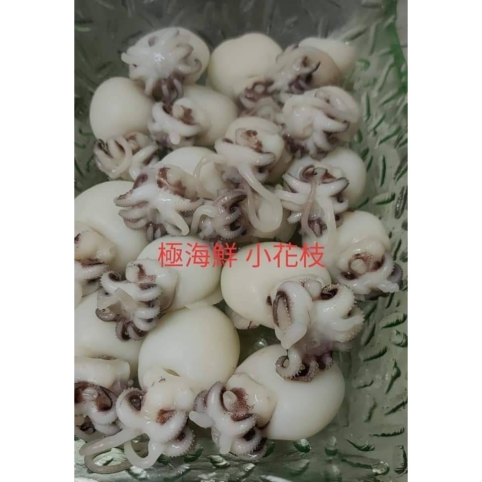 【極海鮮八號鋪】片凍小花枝 200g（8-12隻）-細節圖3