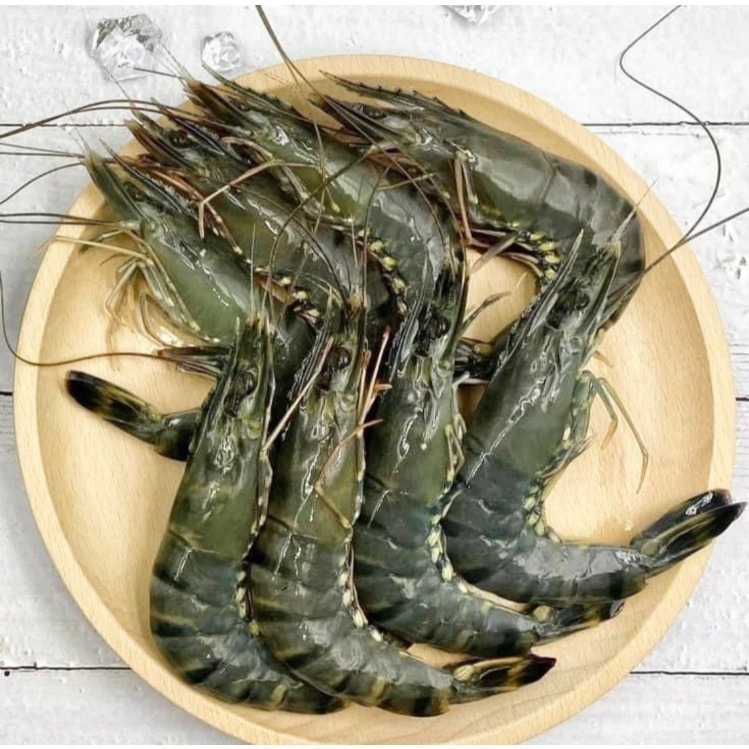 【極海鮮八號鋪】南洋深海活凍鮮草蝦 淨重270g，8P/10P/12P規格-細節圖2