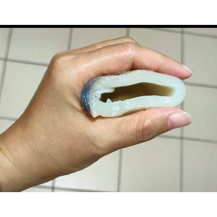 【極海鮮八號鋪】*社群特價*深海大魷魚串，手臂長，無膨發肉超厚，口感Q彈、鮮脆多汁，讓人無法抗拒內臟已清理乾淨,好方便-細節圖5