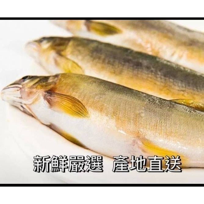 【極海鮮八號鋪】特大爆卵母香魚_950g/盒（6-9尾裝)_，粒粒綿密細緻的嗶嗶啵啵魚卵-細節圖2