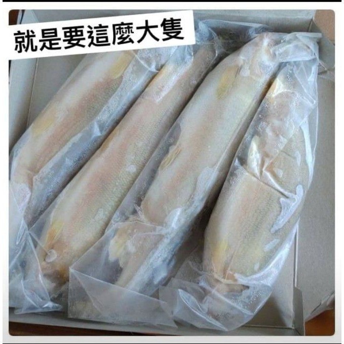 【極海鮮八號鋪】特大爆卵母香魚_950g/盒（6-9尾裝)_，粒粒綿密細緻的嗶嗶啵啵魚卵-細節圖4