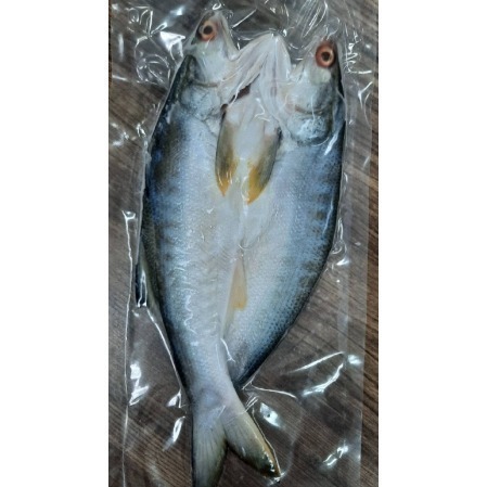 【極海鮮八號鋪】午仔魚一夜干_150~300g/包，純海水養殖的午仔魚， 油脂豐富，肉質軟嫰，乾煎、燒烤都賀甲啦-細節圖3