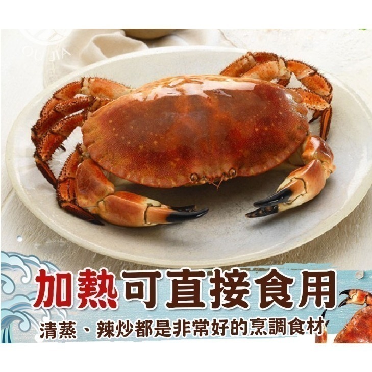 【極海鮮八號舖】蟹黃之王來襲！爾蘭熟凍麵包蟹，爆卵肉厚極致享受 🦀膏黃濃郁、肉質鮮甜 Q 彈 ✨五星級海鮮在家吃！-細節圖3