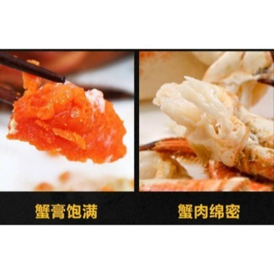 【極海鮮八號舖】蟹黃之王來襲！爾蘭熟凍麵包蟹，爆卵肉厚極致享受 🦀膏黃濃郁、肉質鮮甜 Q 彈 ✨五星級海鮮在家吃！-細節圖5