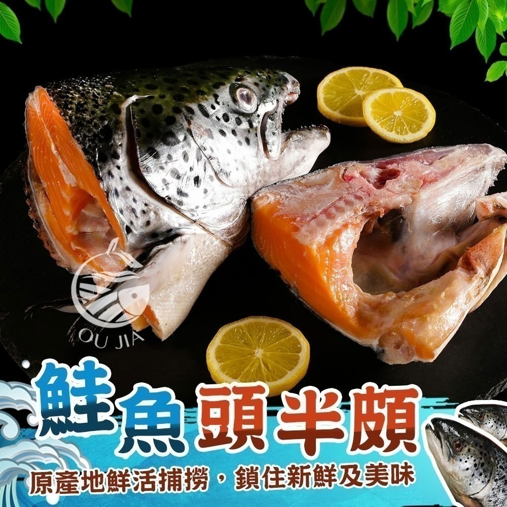 【極海鮮八號鋪】A級挪威空運冰鮮鮭魚頭半邊-（350-400g）（單片真空，已去鰓）-細節圖2