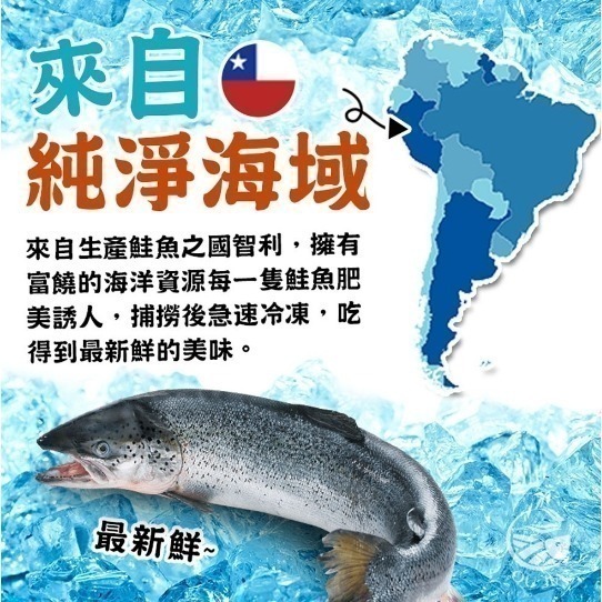 【極海鮮八號鋪】智利桃木煙燻鮭魚-100g±10%，輕量包適合蔬菜沙拉，炒飯，$80/包-細節圖4