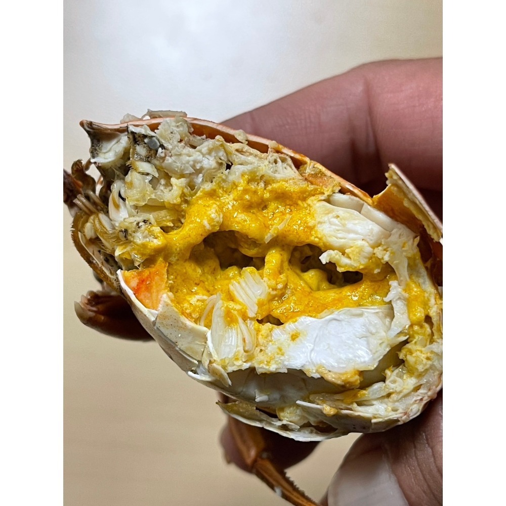 【極海鮮八號鋪】熟凍緬甸紅蟳，170-210g/隻，🍁秋之饗宴-濃香蟹黃-海洋鮮甜-細節圖2