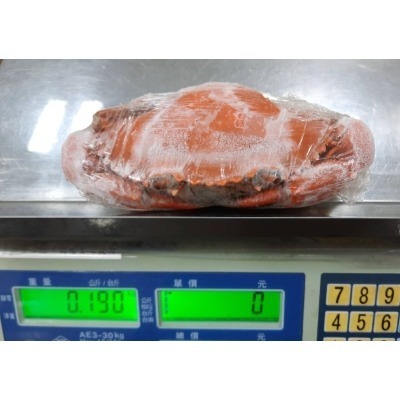 【極海鮮八號鋪】熟凍緬甸紅蟳，170-210g/隻，🍁秋之饗宴-濃香蟹黃-海洋鮮甜-細節圖5