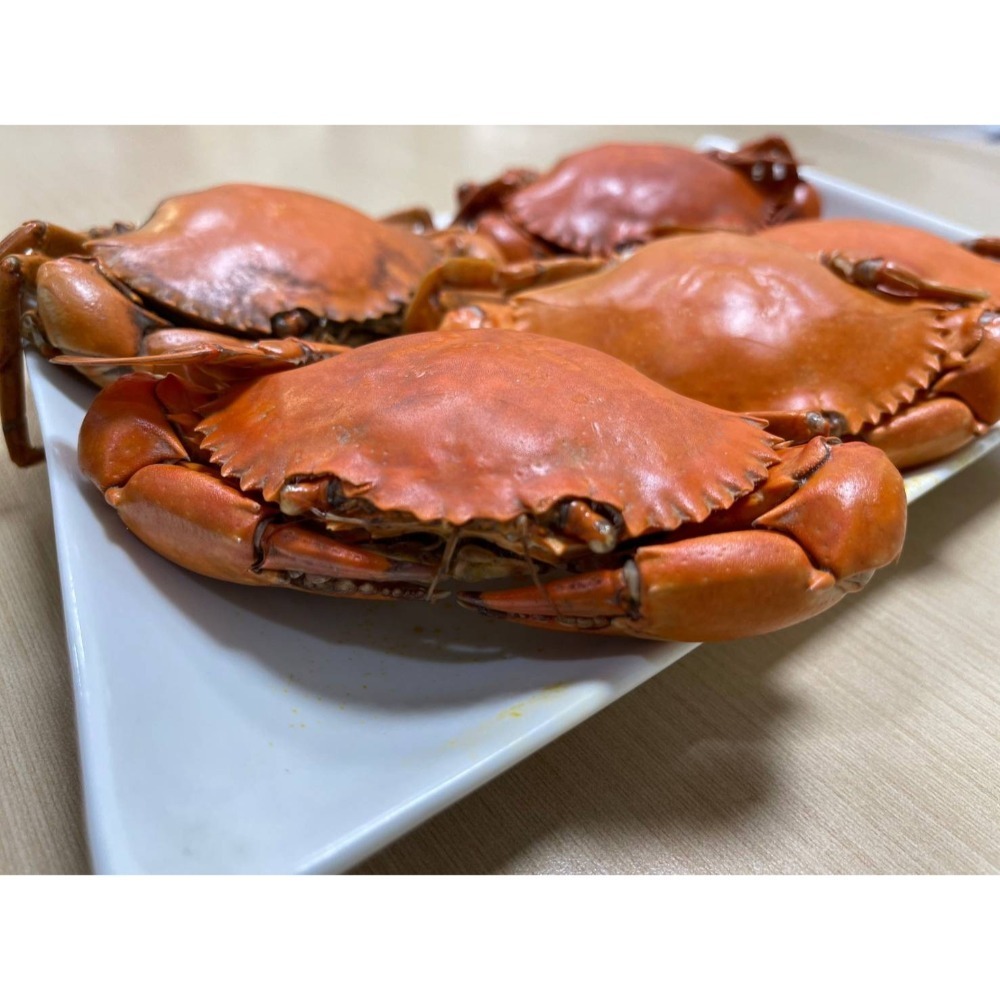【極海鮮八號鋪】熟凍緬甸紅蟳，170-210g/隻，🍁秋之饗宴-濃香蟹黃-海洋鮮甜-細節圖6