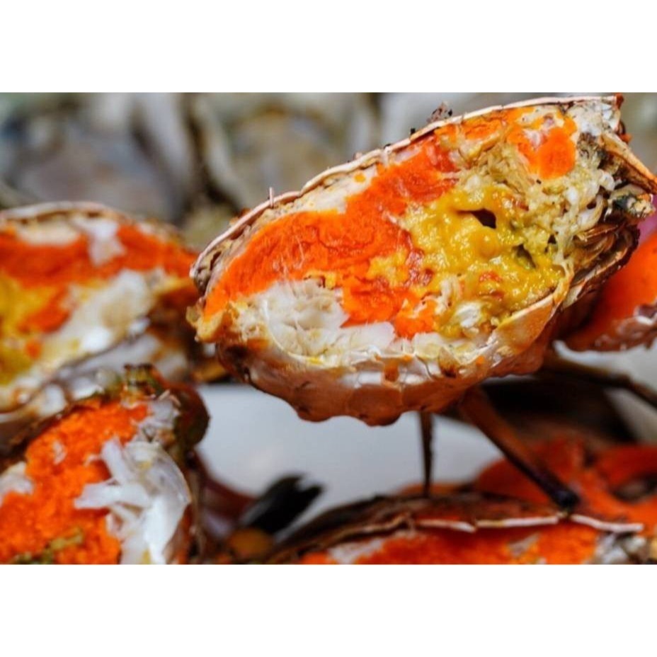 【極海鮮八號鋪】熟凍緬甸紅蟳，170-210g/隻，🍁秋之饗宴-濃香蟹黃-海洋鮮甜-細節圖8