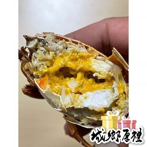 【極海鮮八號鋪】熟凍緬甸紅蟳，230-250g/隻，🍁秋之饗宴-濃香蟹黃-海洋鮮甜-細節圖3