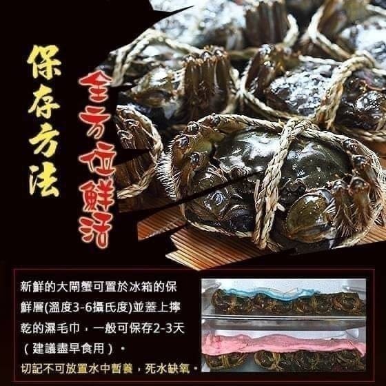 【極海鮮八號鋪】正江蘇大閘蟹(公蟹)-特級-11/7放行出貨-蟹肉厚鮮甜，蟹黃蟹膏濃郁-細節圖11