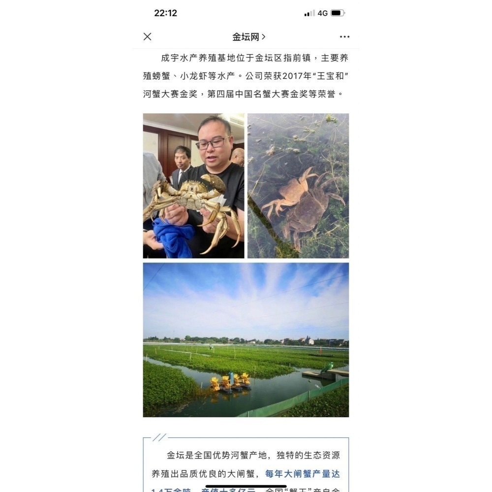 【極海鮮八號鋪】正江蘇大閘蟹(母蟹)-特級-11/19開始放行出貨-蟹肉厚鮮甜，蟹黃蟹膏濃郁，每滿5隻送吃蟹工具組-細節圖9