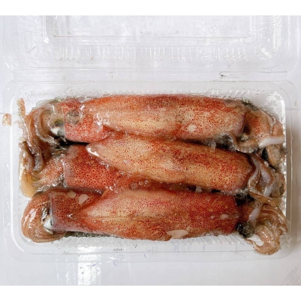 【極海鮮八號鋪】台灣當季鮮凍小卷300G±10%/盒(1排小卷)，急速冷凍鎖住新鮮，肉質Q彈脆口-細節圖5