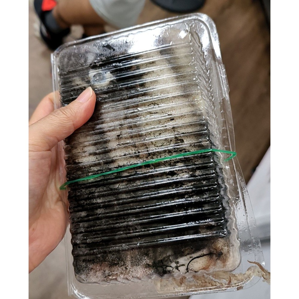 【極海鮮八號鋪】台灣當季鮮凍小卷300G±10%/盒(1排小卷)，急速冷凍鎖住新鮮，肉質Q彈脆口-細節圖8