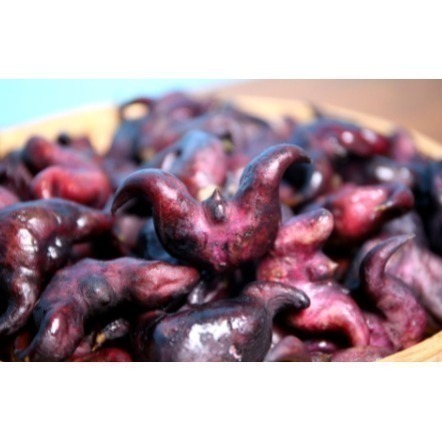 【極海鮮八號鋪】免剝超方便官田菱角仁, 200g/1000g/3000g/包 ，無農藥無化肥，堅持無漂白無添加-細節圖6