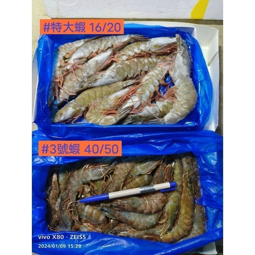 【極海鮮八號鋪】活凍大規格白蝦16/20，26/30，31/35，600g/盒，蝦肉彈牙爽口，細緻甘甜，年節送禮-細節圖6