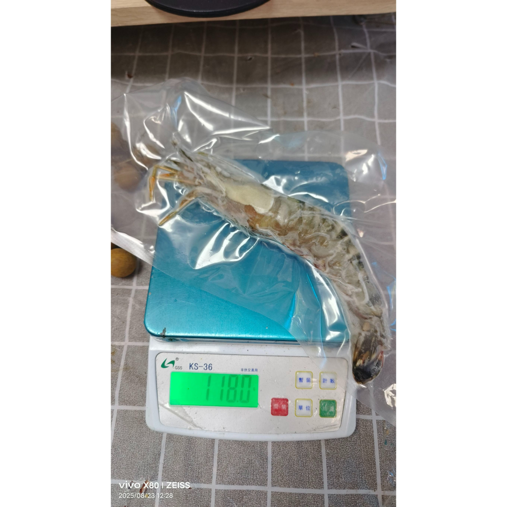 【極海鮮八號鋪】巨無霸大海草蝦(手臂蝦)100-120g/隻，2隻/包，年節送禮，中秋烤肉最讚-細節圖2