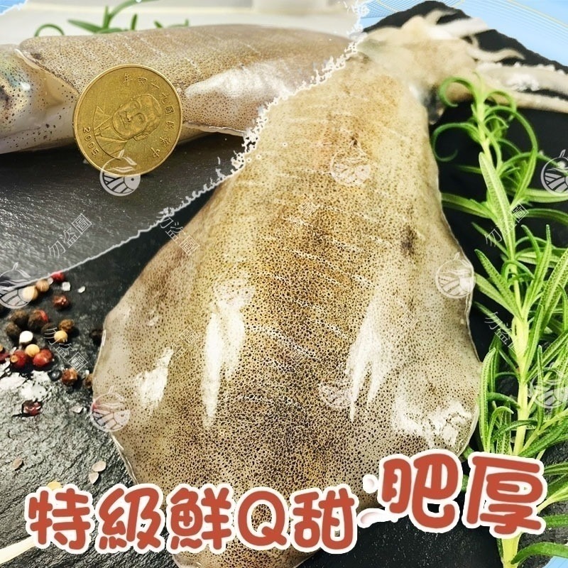 【極海鮮八號鋪】頂級3A活凍軟絲-約200~300G/隻、只無澎發、超Q彈軟嫩！-細節圖3