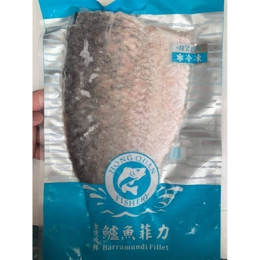 【極海鮮】海水金目鱸魚排，肉質Q彈沒土味，去刺去鱗好方便，150-200g，200~300g，300~400g三種規格-細節圖5