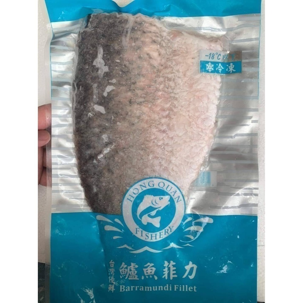 【極海鮮八號鋪】海水金目鱸魚排 肉質Q彈紮實無土味 份量大滿足 真空包裝清蒸乾煎皆宜 冷凍生鮮 長輩寶寶副食品-細節圖5